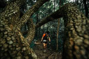 BIB: 
                            <button type="button" onclick="openModal(25670999)" class="btn btn-primary btn-sm float-right btn-popup" data-toggle="modal" data-target=".modal-high-quality">
                        <i class="fas fa-shopping-cart"></i> Add to Cart
                    </button>
                                            <button type="button" onclick="isThisMe(25670999, true)" class="btn btn-success btn-sm float-right btn-popup btn-isme hidden" data-toggle="tooltip" data-placement="bottom" title="นี่คือรูปของคุณใช่ไหม คลิกที่นี่เพื่อเอาเข้าอัลบั้ม">
                        <i class="fas fa-plus"></i> Add to album
                    </button>
                    <button type="button" onclick="isThisMe(25670999, false)" class="btn btn-warning btn-sm float-right btn-popup btn-isnotme hidden">
                        <i class="fas fa-ban"></i> Remove from album
                    </button>